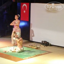 фото из отзыва ID 1594153