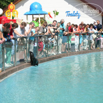 фото из отзыва ID 1593910