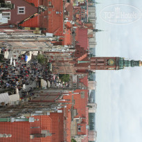 фото из отзыва ID 1593910