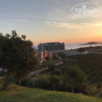 фото из отзыва ID 1594335