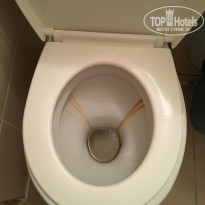 фото из отзыва ID 1594336