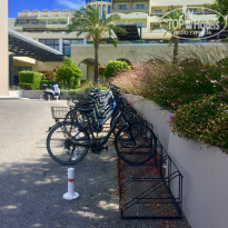 фото из отзыва ID 1594541