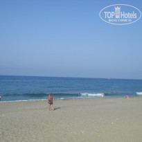 фото из отзыва ID 1594645