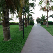 фото из отзыва ID 1594732