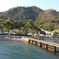 фото из отзыва ID 1594824