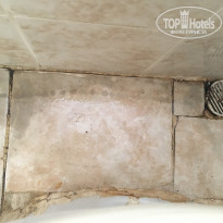 фото из отзыва ID 1595112