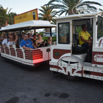 фото из отзыва ID 1595142