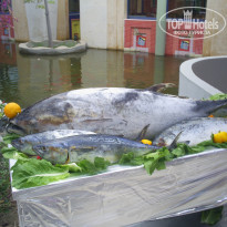 фото из отзыва ID 1595303