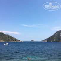 фото из отзыва ID 1595456