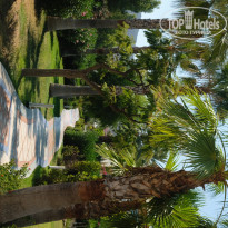 фото из отзыва ID 1595450