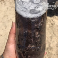 фото из отзыва ID 1595469