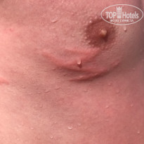 фото из отзыва ID 1595469