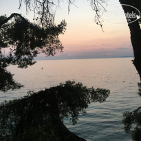 фото из отзыва ID 1595480