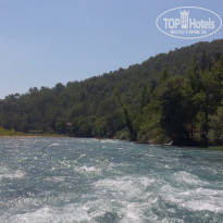 фото из отзыва ID 1595579