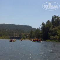 фото из отзыва ID 1595579