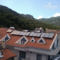 фото из отзыва ID 1595673