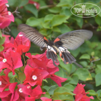 фото из отзыва ID 1595700