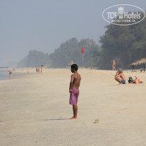 фото из отзыва ID 1596046