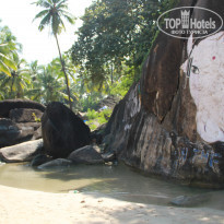 фото из отзыва ID 1596046