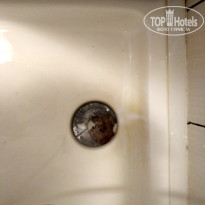 фото из отзыва ID 1596469