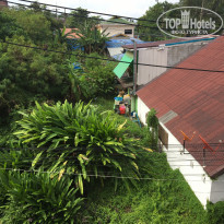 фото из отзыва ID 1596525