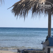 фото из отзыва ID 1596600