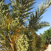 фото из отзыва ID 1596824