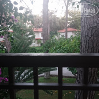 фото из отзыва ID 1596854