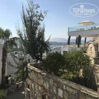 фото из отзыва ID 1596863