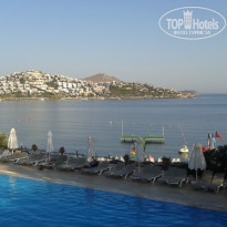 фото из отзыва ID 1597200