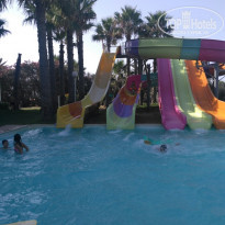 фото из отзыва ID 1597346