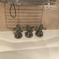 фото из отзыва ID 1597405