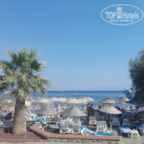 фото из отзыва ID 1597618