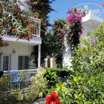 фото из отзыва ID 1597618