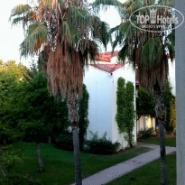 фото из отзыва ID 1591416