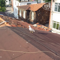 фото из отзыва ID 1597907