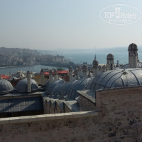 фото из отзыва ID 1597907