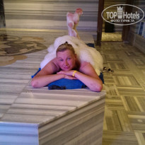 фото из отзыва ID 1596176