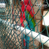 фото из отзыва ID 1598062