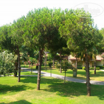 фото из отзыва ID 1598062