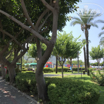 фото из отзыва ID 1598100