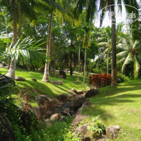 фото из отзыва ID 1598204