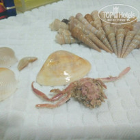 фото из отзыва ID 1598204