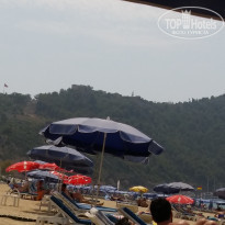 фото из отзыва ID 1598001