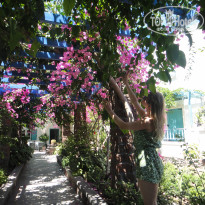 фото из отзыва ID 1598264