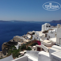 фото из отзыва ID 1598264