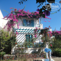 фото из отзыва ID 1598264