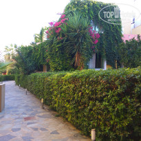 фото из отзыва ID 1598486