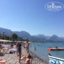 фото из отзыва ID 1598505