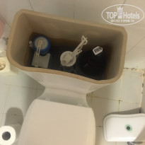 фото из отзыва ID 1598604